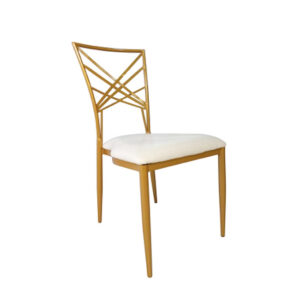 Chameleon Chairs – Matt Gold Aluminium